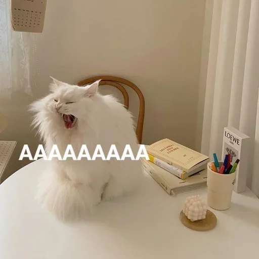 Aaaaaaa sticker