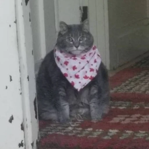 Bandana sticker