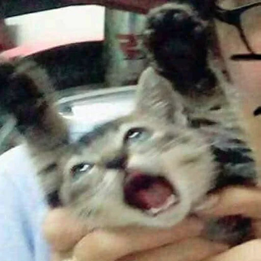 Car Ride Panic sticker