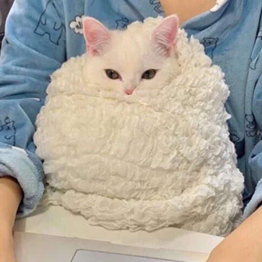 Cat Loaf sticker