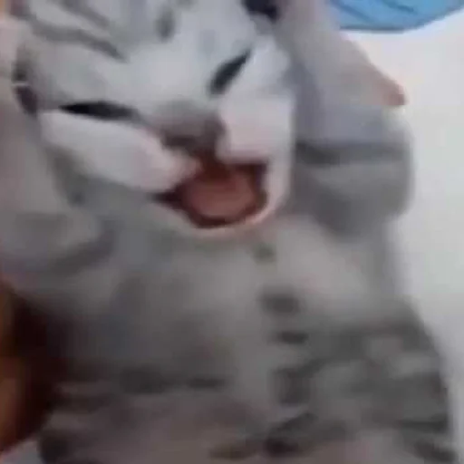 Giggling sticker