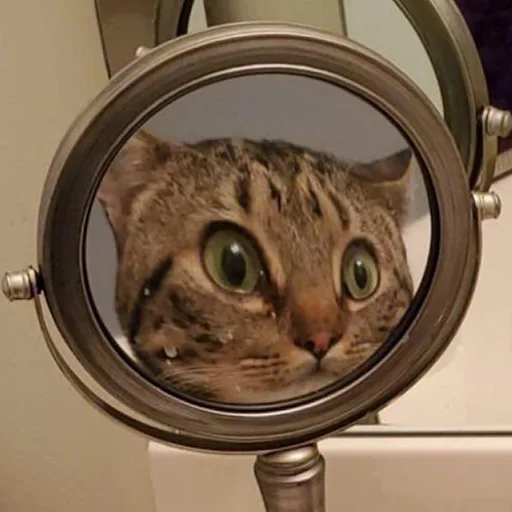 Mirror Check sticker