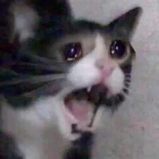 Sobbing sticker