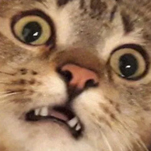 Utterly Shocked sticker
