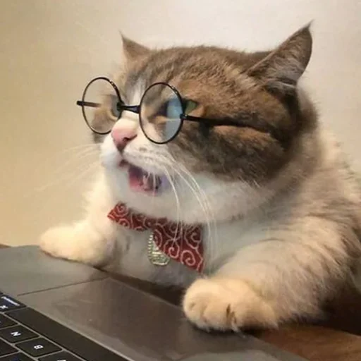Working Hard sticker
