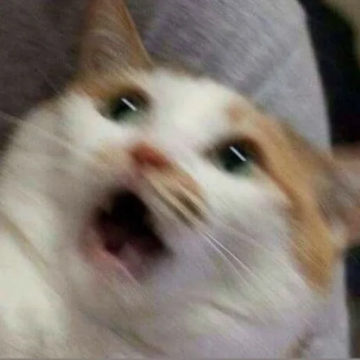 Yelling sticker