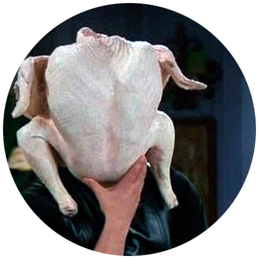 Turkey sticker
